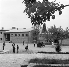 Magyarország, Budapest II., Csatárka úti gyermekváros (ekkor Münnich Ferenc Nevelőotthon, ma Cseppkő Gyermekotthoni Központ)., 1972, Péterffy István, iskola, osztálykép, iskolaudvar, Budapest, Fortepan #170607