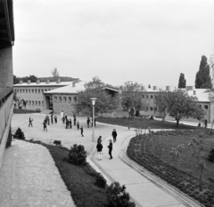 Magyarország, Budapest II., Csatárka úti gyermekváros (ekkor Münnich Ferenc Nevelőotthon, ma Cseppkő Gyermekotthoni Központ)., 1972, Péterffy István, iskola, iskolaudvar, Budapest, Fortepan #170608