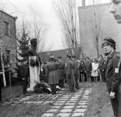 Magyarország, Monor, Ady Endre út 12-14., József Attila Gimnázium (később József Attila Gimnázium és Közgazdasági Szakközépiskola) udvara. Ünnepség József Attila mellszobránál (Kelemen Kristóf, 1960.)., 1972, Péterffy István, ifjú gárda, koszorúzás, Petőfi-ábrázolás, Fortepan #170614