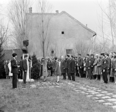 Magyarország, Monor, Ady Endre út 12-14., József Attila Gimnázium (később József Attila Gimnázium és Közgazdasági Szakközépiskola) udvara. Ünnepség József Attila mellszobránál (Kelemen Kristóf, 1960.)., 1972, Péterffy István, ifjú gárda, koszorúzás, Petőfi-ábrázolás, Fortepan #170615