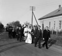 Magyarország, Nyáregyháza, Ady Endre út., 1972, Péterffy István, esküvő, tangóharmonika, Fortepan #170616