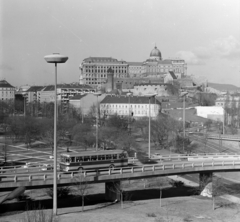 Magyarország, Budapest I., kilátás a Gellérthegyről a Döbrentei tér és a Budavári Palota (korábban Királyi Palota) felé., 1974, Péterffy István, Budapest, Fortepan #170738