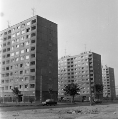 Magyarország, Óbuda, Budapest III., Pacsirtamező (Korvin Ottó) utca a Flórián tér felé nézve, tízemeletes házak a Szőlő köz és a Kiscelli út között., 1976, Péterffy István, Budapest, Fortepan #170840