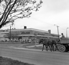 Magyarország, Mezőtúr, Bajcsy-Zsilinszky utca - Földvári út kereszteződés, szemben az ÁFÉSZ áruház., 1977, Péterffy István, képarány: négyzetes, lovaskocsi, Fortepan #170864