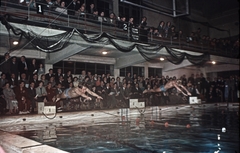 1956, Sárosi Imre, colorful, audience, jump, starting block, pool, Fortepan #171014