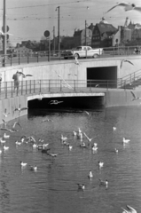 Svédország, Stockholm, a Zsilip (Slussen) a Stadsholmen és a Södermalm között. A Mälaren tavat választja el a Balti-tengertől., 1960, Sattler Katalin, sirály, madár, Fortepan #171417