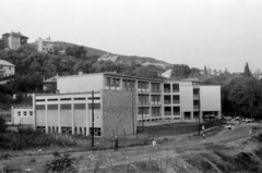 Hungary, Budapest II., Pasaréti út 191-193., Általános Iskola (később Szabó Lőrinc Kéttannyelvű Általános Iskola és Gimnázium)., 1962, Sattler Katalin, Budapest, Fortepan #171473