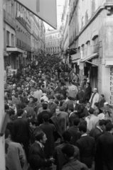 Algéria, Algír, a Rue Amar Ali (Rue Randon) a Place Ahmed-Bouzrina (Place de la Lyre) felől., 1964, Sattler Katalin, Fortepan #171540