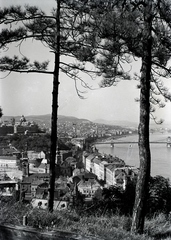 Magyarország, Budapest I., kilátás a Gellérthegyről a Tabán, a Királyi Palota (később Budavári Palota) és a Széchenyi Lánchíd felé., 1933, Sütő János, Budapest, Fortepan #171658