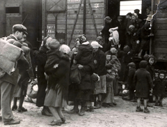 Poland, Oświęcim, az auschwitz–birkenaui koncentrációs tábor., 1944, Lili Jacob, holocaust, coach, kid, judaism, antisemitism, concentration camp, yellow star, Holocaust train, Fortepan #172003