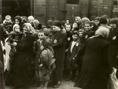 Poland, Oświęcim, az auschwitz–birkenaui koncentrációs tábor., 1944, Lili Jacob, holocaust, judaism, antisemitism, concentration camp, yellow star, Holocaust train, Fortepan #172005