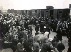 Poland, Oświęcim, az auschwitz–birkenaui koncentrációs tábor., 1944, Lili Jacob, holocaust, coach, judaism, antisemitism, concentration camp, Holocaust train, Fortepan #172006