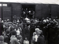 Poland, Oświęcim, az auschwitz–birkenaui koncentrációs tábor., 1944, Lili Jacob, holocaust, coach, judaism, antisemitism, concentration camp, Holocaust train, Fortepan #172007