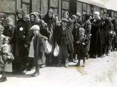 Poland, Oświęcim, az auschwitz–birkenaui koncentrációs tábor., 1944, Lili Jacob, holocaust, coach, judaism, antisemitism, concentration camp, yellow star, Holocaust train, Fortepan #172008