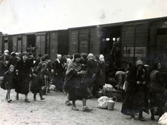 Poland, Oświęcim, az auschwitz–birkenaui koncentrációs tábor., 1944, Lili Jacob, holocaust, can, coach, judaism, antisemitism, concentration camp, Holocaust train, Fortepan #172009