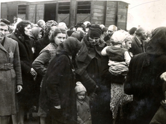 Poland, Oświęcim, az auschwitz–birkenaui koncentrációs tábor., 1944, Lili Jacob, holocaust, coach, judaism, antisemitism, concentration camp, yellow star, Holocaust train, Fortepan #172011