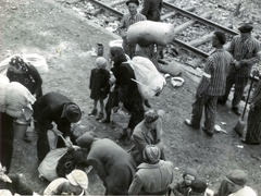 Poland, Oświęcim, az auschwitz–birkenaui koncentrációs tábor., 1944, Lili Jacob, broom, armband, judaism, bundle, concentration camp, striped dress, Fortepan #172012