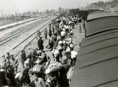 Poland, Oświęcim, az auschwitz–birkenaui koncentrációs tábor., 1944, Lili Jacob, holocaust, coach, judaism, antisemitism, bundle, concentration camp, striped dress, Holocaust train, Fortepan #172013