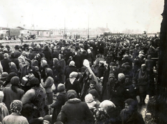 Poland, Oświęcim, az auschwitz–birkenaui koncentrációs tábor., 1944, Lili Jacob, holocaust, judaism, antisemitism, concentration camp, yellow star, Fortepan #172017