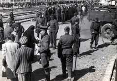 Poland, Oświęcim, az auschwitz–birkenaui koncentrációs tábor., 1944, Lili Jacob, holocaust, walking cane, judaism, antisemitism, German soldier, concentration camp, striped dress, Fortepan #172027