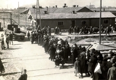 Poland, Oświęcim, az auschwitz–birkenaui koncentrációs tábor., 1944, Lili Jacob, holocaust, commercial vehicle, judaism, antisemitism, German soldier, concentration camp, Fortepan #172028