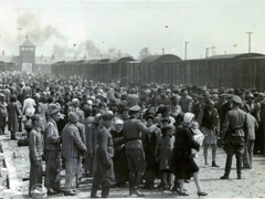 Poland, Oświęcim, az auschwitz–birkenaui koncentrációs tábor., 1944, Lili Jacob, holocaust, antisemitism, concentration camp, Holocaust train, Fortepan #172032