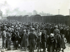 Poland, Oświęcim, az auschwitz–birkenaui koncentrációs tábor., 1944, Lili Jacob, holocaust, antisemitism, concentration camp, Holocaust train, Fortepan #172033