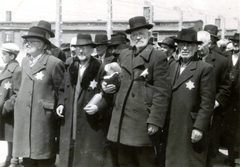 Poland, Oświęcim, az auschwitz–birkenaui koncentrációs tábor., 1944, Lili Jacob, holocaust, antisemitism, concentration camp, Fortepan #172035