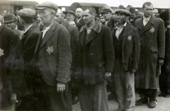 Poland, Oświęcim, az auschwitz–birkenaui koncentrációs tábor., 1944, Lili Jacob, holocaust, antisemitism, concentration camp, Holocaust train, Fortepan #172036