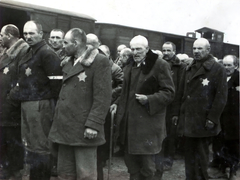 Poland, Oświęcim, az auschwitz–birkenaui koncentrációs tábor., 1944, Lili Jacob, holocaust, antisemitism, concentration camp, Holocaust train, Fortepan #172037