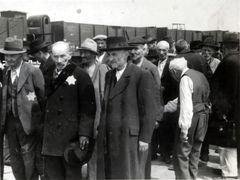 Poland, Oświęcim, az auschwitz–birkenaui koncentrációs tábor., 1944, Lili Jacob, holocaust, antisemitism, concentration camp, Holocaust train, Fortepan #172042