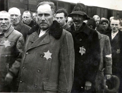 Poland, Oświęcim, az auschwitz–birkenaui koncentrációs tábor., 1944, Lili Jacob, holocaust, antisemitism, concentration camp, Holocaust train, Fortepan #172043