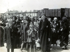 Poland, Oświęcim, az auschwitz–birkenaui koncentrációs tábor., 1944, Lili Jacob, holocaust, antisemitism, concentration camp, Holocaust train, Fortepan #172051