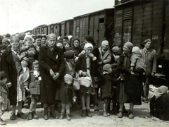 Poland, Oświęcim, az auschwitz–birkenaui koncentrációs tábor., 1944, Lili Jacob, holocaust, antisemitism, concentration camp, Holocaust train, Fortepan #172052