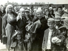 Poland, Oświęcim, az auschwitz–birkenaui koncentrációs tábor., 1944, Lili Jacob, holocaust, antisemitism, concentration camp, Holocaust train, Fortepan #172053