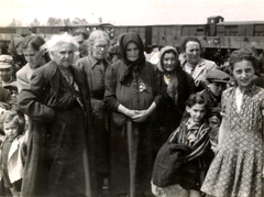 Poland, Oświęcim, az auschwitz–birkenaui koncentrációs tábor., 1944, Lili Jacob, holocaust, antisemitism, concentration camp, Holocaust train, Fortepan #172055