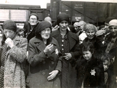 Poland, Oświęcim, az auschwitz–birkenaui koncentrációs tábor., 1944, Lili Jacob, holocaust, antisemitism, concentration camp, Holocaust train, Fortepan #172057