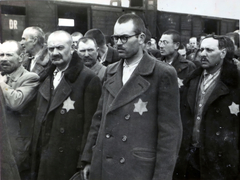 Poland, Oświęcim, az auschwitz–birkenaui koncentrációs tábor., 1944, Lili Jacob, holocaust, antisemitism, concentration camp, Holocaust train, Fortepan #172058