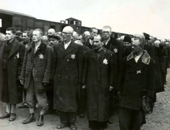 Poland, Oświęcim, az auschwitz–birkenaui koncentrációs tábor., 1944, Lili Jacob, holocaust, antisemitism, concentration camp, Holocaust train, Fortepan #172060