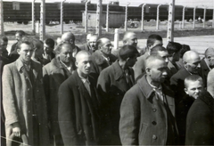 Poland, Oświęcim, az auschwitz–birkenaui koncentrációs tábor., 1944, Lili Jacob, holocaust, antisemitism, concentration camp, Holocaust train, Fortepan #172062