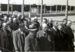 Poland, Oświęcim, az auschwitz–birkenaui koncentrációs tábor., 1944, Lili Jacob, holocaust, antisemitism, concentration camp, Holocaust train, Fortepan #172063