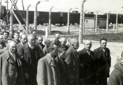 Poland, Oświęcim, az auschwitz–birkenaui koncentrációs tábor., 1944, Lili Jacob, holocaust, antisemitism, concentration camp, Holocaust train, Fortepan #172064