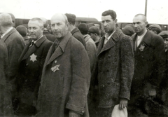 Poland, Oświęcim, az auschwitz–birkenaui koncentrációs tábor., 1944, Lili Jacob, holocaust, antisemitism, concentration camp, Holocaust train, Fortepan #172070