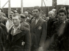 Poland, Oświęcim, az auschwitz–birkenaui koncentrációs tábor., 1944, Lili Jacob, holocaust, antisemitism, concentration camp, Holocaust train, Fortepan #172072