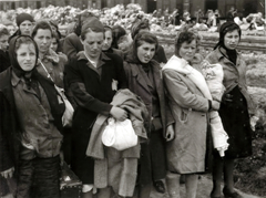 Poland, Oświęcim, az auschwitz–birkenaui koncentrációs tábor., 1944, Lili Jacob, holocaust, antisemitism, concentration camp, Holocaust train, Fortepan #172075