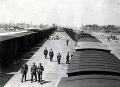 Poland, Oświęcim, az auschwitz–birkenaui koncentrációs tábor., 1944, Lili Jacob, holocaust, antisemitism, concentration camp, Holocaust train, Fortepan #172079