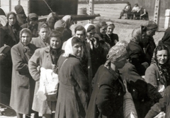 Poland, Oświęcim, az auschwitz–birkenaui koncentrációs tábor., 1944, Lili Jacob, holocaust, antisemitism, concentration camp, Fortepan #172080