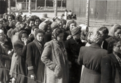 Poland, Oświęcim, az auschwitz–birkenaui koncentrációs tábor., 1944, Lili Jacob, holocaust, antisemitism, concentration camp, Fortepan #172083