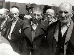 Poland, Oświęcim, az auschwitz–birkenaui koncentrációs tábor., 1944, Lili Jacob, holocaust, antisemitism, concentration camp, Holocaust train, Fortepan #172093