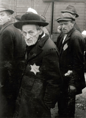 Poland, Oświęcim, az auschwitz–birkenaui koncentrációs tábor., 1944, Lili Jacob, holocaust, antisemitism, concentration camp, Holocaust train, Fortepan #172094